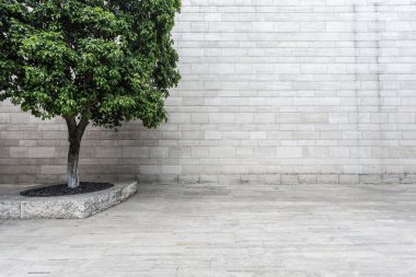 Beyaz tuğla duvar ve boş kumtaşı yol