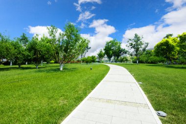 Park çayırda uzun patika