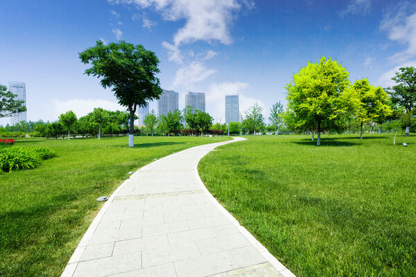 длинная пешеходная дорожка в сквере
