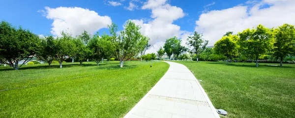 Long footpath in meadow of park — Stock Photo, Image