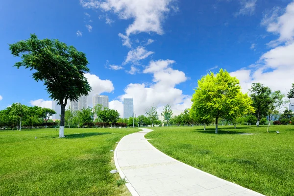 Long footpath in meadow of park — Stock Photo, Image