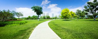 Park çayırda uzun patika