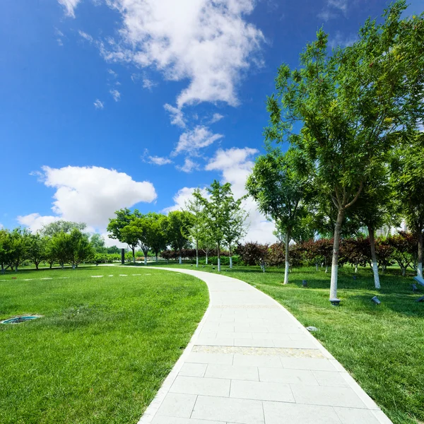 Long footpath in meadow of park — Stock Photo, Image