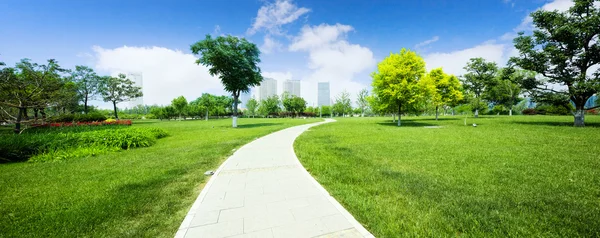 Long footpath in meadow of park — Stock Photo, Image