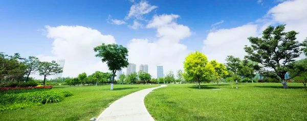Long footpath in meadow of park — Stock Photo, Image