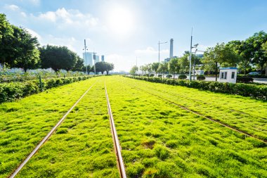 Demiryolları ile birlikte ağaçlar ve Grönland
