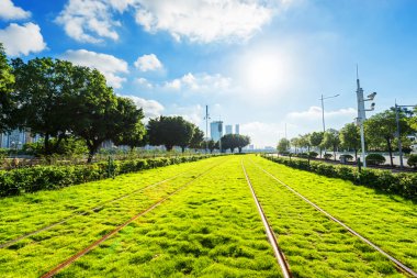 Demiryolları ile birlikte ağaçlar ve Grönland
