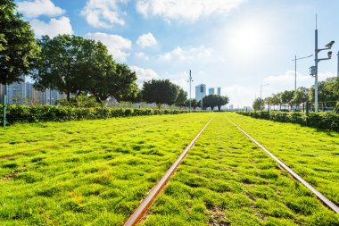 Demiryolları ile birlikte ağaçlar ve Grönland