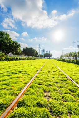 Demiryolları ile birlikte ağaçlar ve Grönland