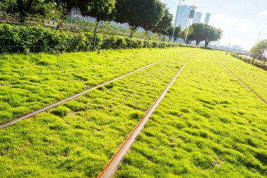 Demiryolları ile birlikte ağaçlar ve Grönland