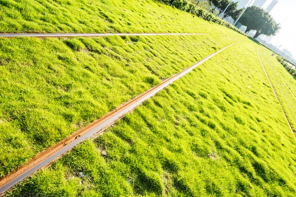 Railways along with trees and greenland — Stock Photo, Image