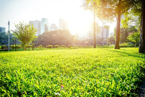 Groene park onder de zon — Stockfoto