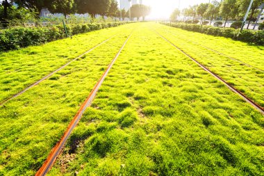 Demiryolları ile birlikte ağaçlar ve Grönland