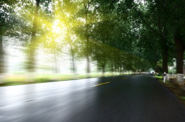 Asfalt yol, gün ışığı altında ağaç çimleri