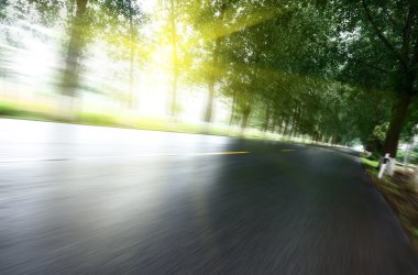 Asfalt yol, gün ışığı altında ağaç çimleri