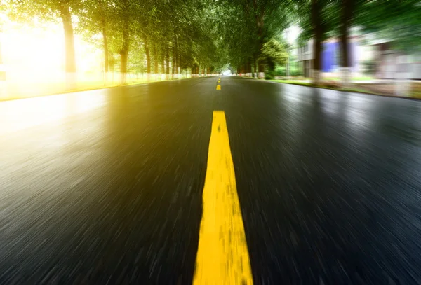 Drum asfalt cu peluze de copaci sub soare — Fotografie, imagine de stoc