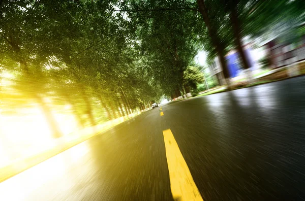 Estrada de asfalto com gramados de árvore sob a luz do sol — Fotografia de Stock