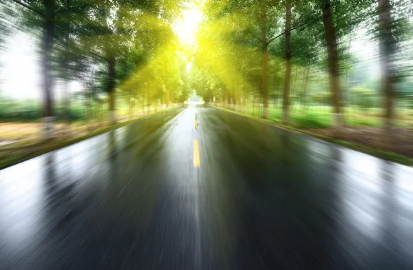 Strada asfaltata con prati alberati sotto il sole — Foto Stock