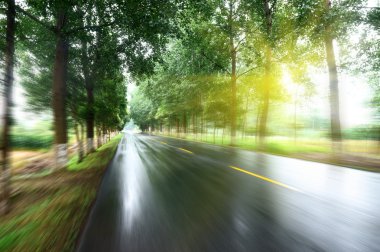 Asfalt yol, gün ışığı altında ağaç çimleri