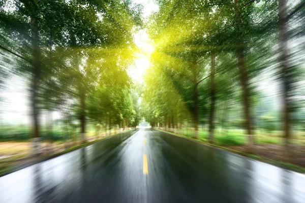 Асфальтовая дорога с газонами под солнцем — стоковое фото