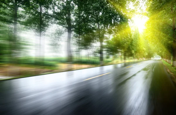 Асфальтована дорога з дерев'яними газонами під сонцем — стокове фото