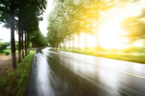 Route asphaltée avec pelouses sous le soleil — Photo