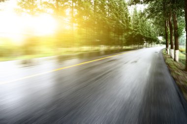 Asfalt yol, gün ışığı altında ağaç çimleri