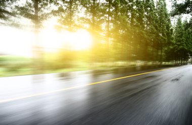 Asfalt yol, gün ışığı altında ağaç çimleri