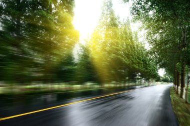 Asfalt yol, gün ışığı altında ağaç çimleri