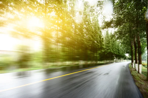 Estrada de asfalto com gramados de árvore sob a luz do sol — Fotografia de Stock