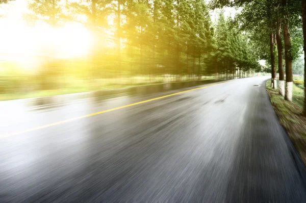 Strada asfaltata con prati alberati sotto il sole — Foto Stock