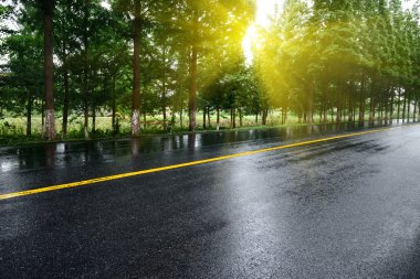 Asfalt yol, gün ışığı altında ağaç çimleri