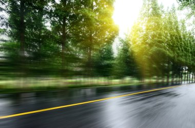 Asfalt yol, gün ışığı altında ağaç çimleri