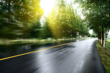 Asfalt yol, gün ışığı altında ağaç çimleri