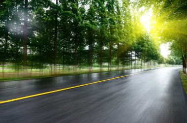 Asfalt yol, gün ışığı altında ağaç çimleri