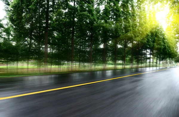 Asphalt road with tree lawns under sunshine — Stock Photo, Image