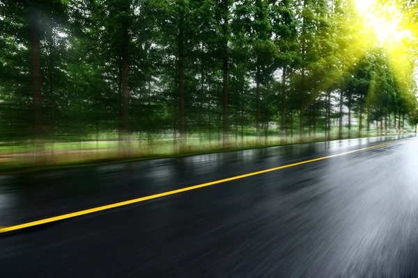 Asfaltweg met bomen gazons onder de zon — Stockfoto