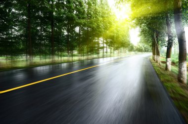 Asfalt yol, gün ışığı altında ağaç çimleri