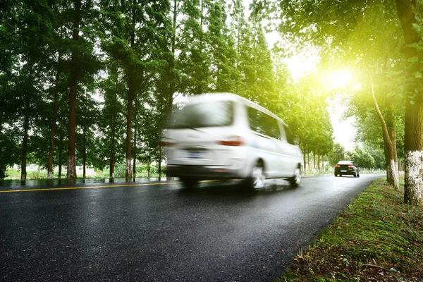 Ασφαλτοστρωμένος δρόμος με γκαζόν δένδρων κάτω από ήλιο — Φωτογραφία Αρχείου