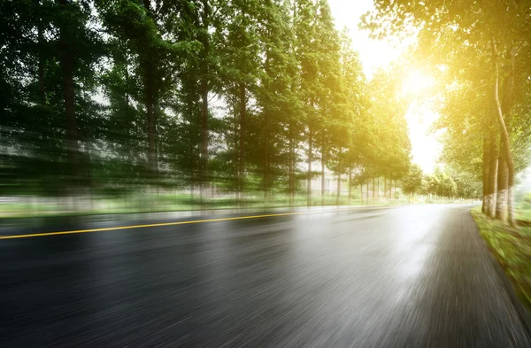 Асфальтовая дорога с газонами под солнцем — стоковое фото