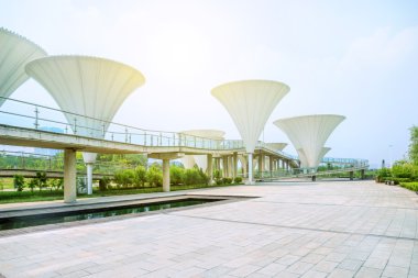 mantar ile modern bir kare şeklinde lamba