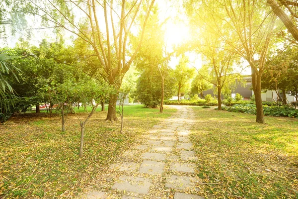 Sentiero nel parco con foglie cadute — Foto Stock