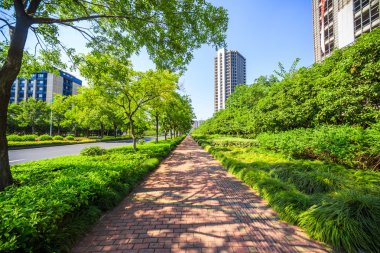 düşen yapraklar ile parkta yürüyüş yolu