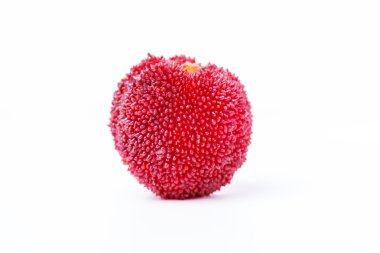 Kırmızı ve olgun waxberry