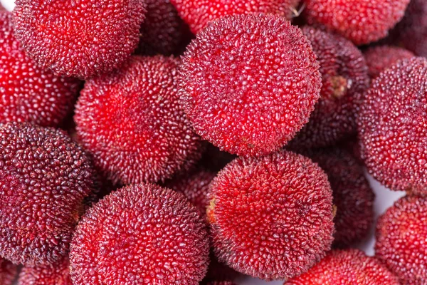 Rode en rijp waxberries — Stockfoto