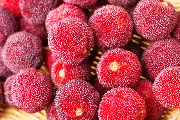 Rode en rijp waxberries — Stockfoto