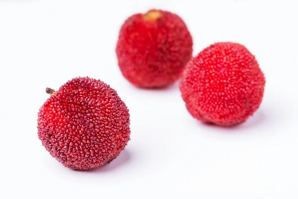 Röda och mogna waxberries — Stockfoto