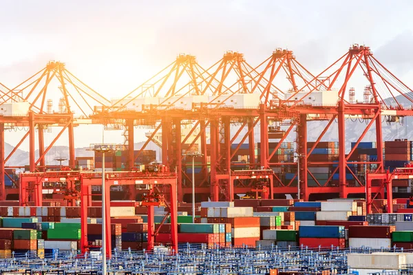 Industrial port at the Port of Shanghai — Stock Photo, Image