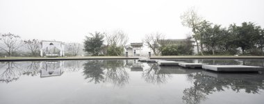 bitkiler etrafında gölet yansıması