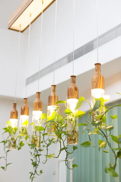 Hermosas luces con plantas colgando en la habitación — Foto de Stock